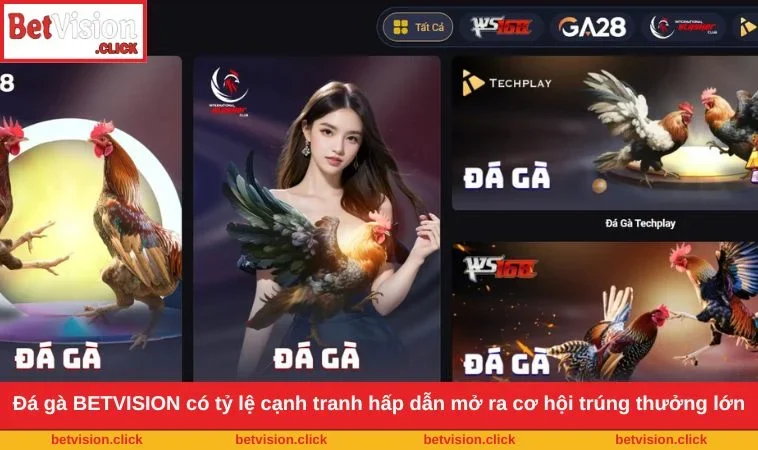 Đá gà BETVISION có tỷ lệ cạnh tranh hấp dẫn mở ra cơ hội trúng thưởng lớn