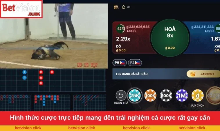 Hình thức cược trực tiếp mang đến trải nghiệm cá cược rất gay cấn