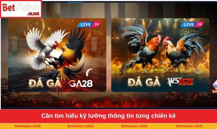 Cần tìm hiểu kỹ lưỡng thông tin từng chiến kê