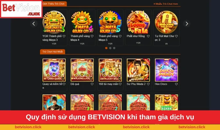 Quy định sử dụng BETVISION khi tham gia dịch vụ