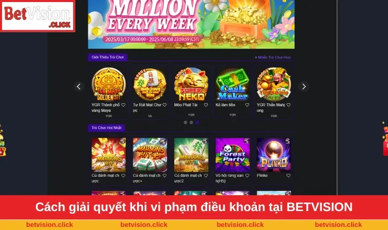 Cách giải quyết khi vi phạm điều khoản tại BETVISION