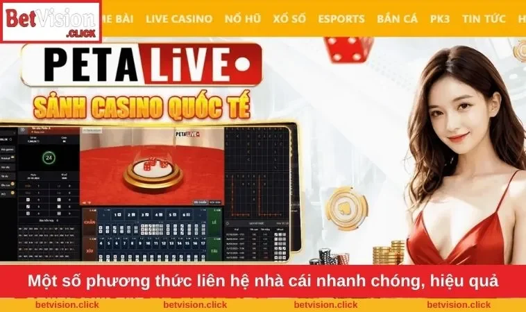 Một số phương thức liên hệ nhà cái nhanh chóng, hiệu quả