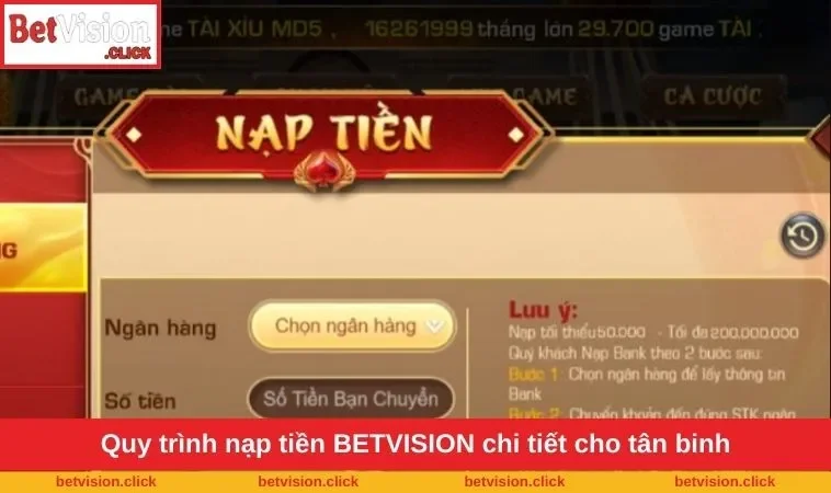 Quy trình nạp tiền BETVISION chi tiết cho tân binh